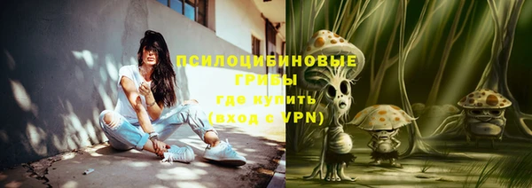 прущие грибы Волосово