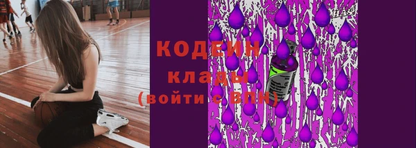 прущие грибы Волосово