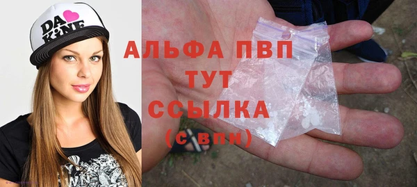 стаф Володарск